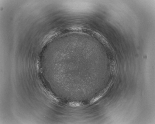 X0000088020762200706011324