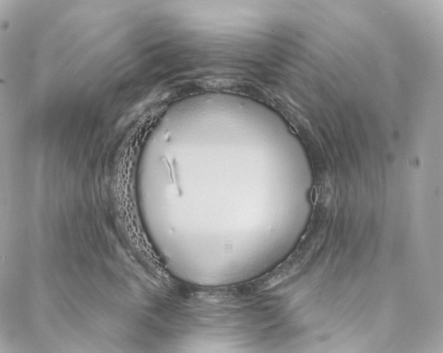 X0000088020763200706011324