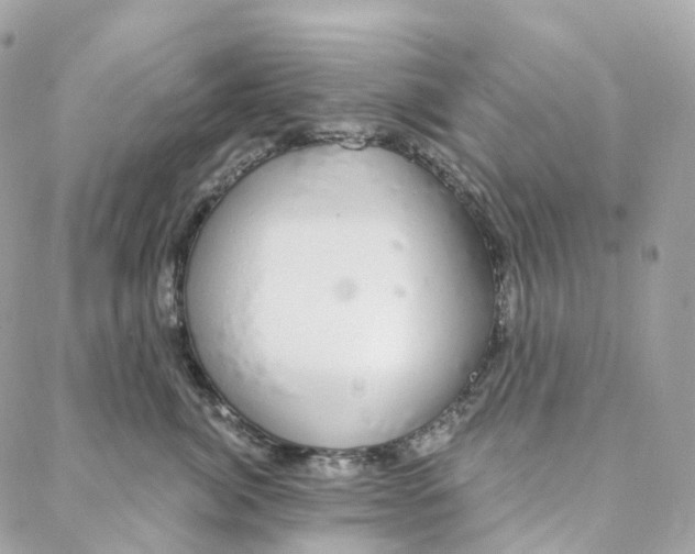 X0000088020764200706011324