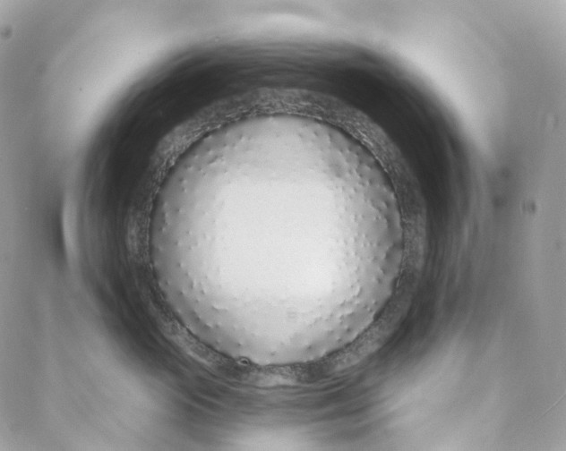 X0000088020765200706011324