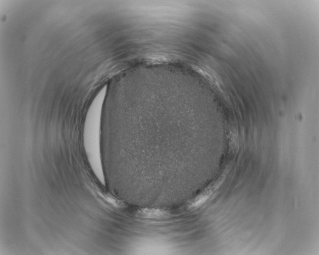 X0000088020766200706011324