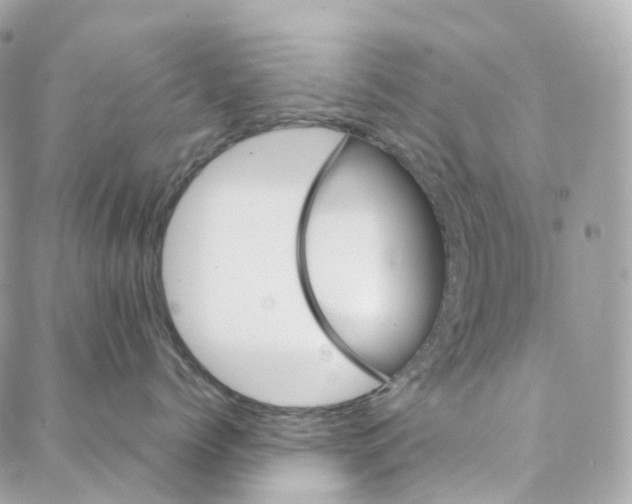 X0000088020768200706011324