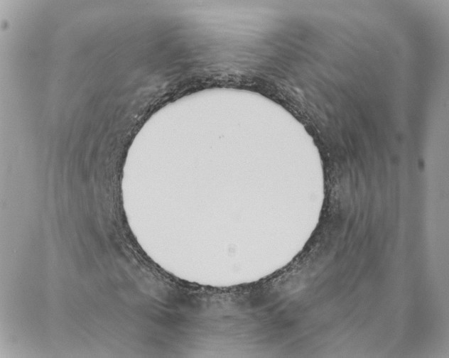 X0000088020769200706011323