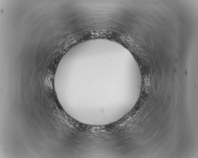 X0000088020770200706011323