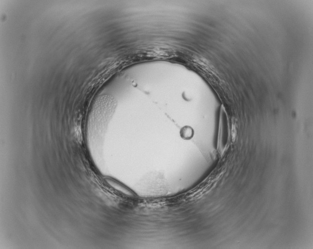 X0000088020771200706011323