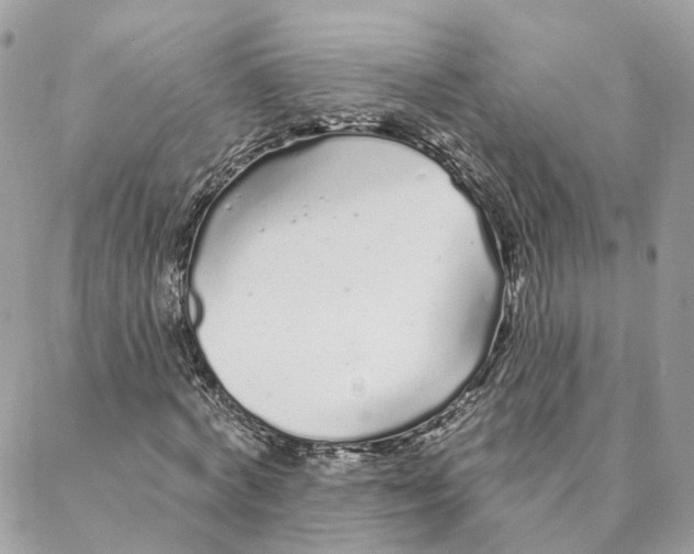 X0000088020772200706011323