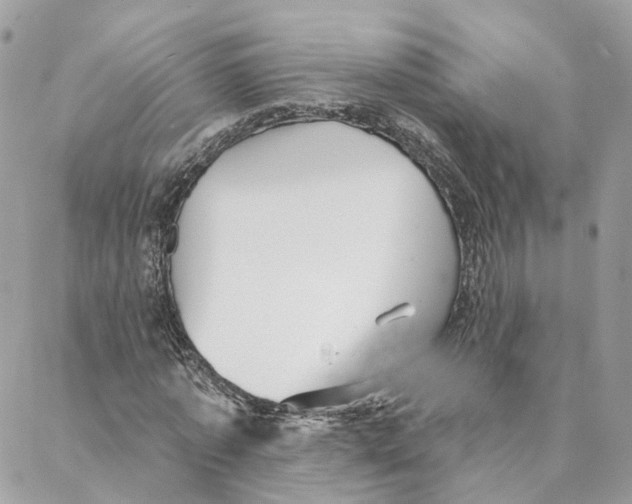 X0000088020773200706011323