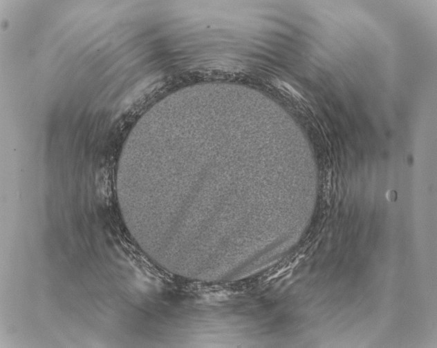 X0000088020774200706011323