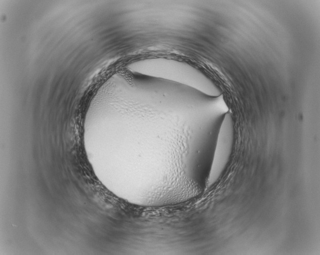 X0000088020776200706011323