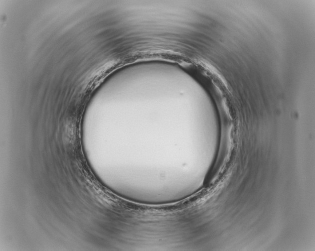 X0000088020777200706011323