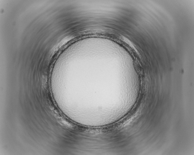 X0000088020778200706011323