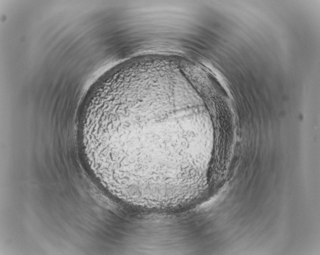 X0000088020779200706011323