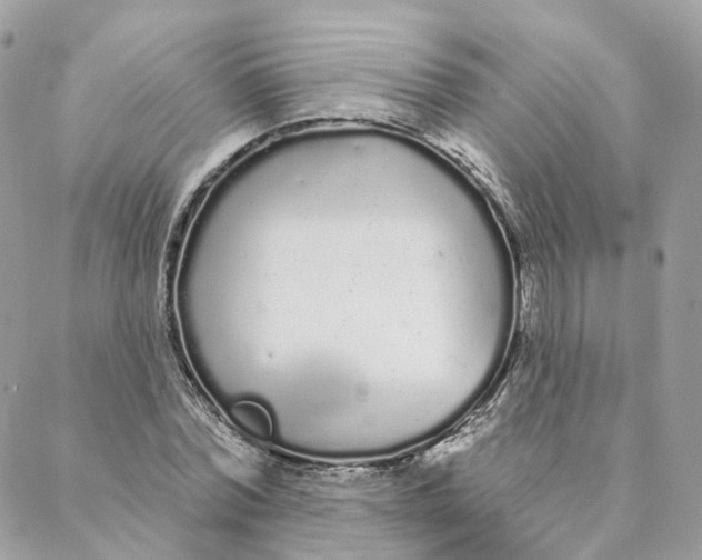 X0000088020780200706011323