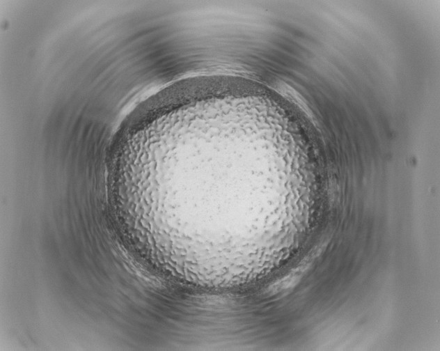 X0000088020781200706011323