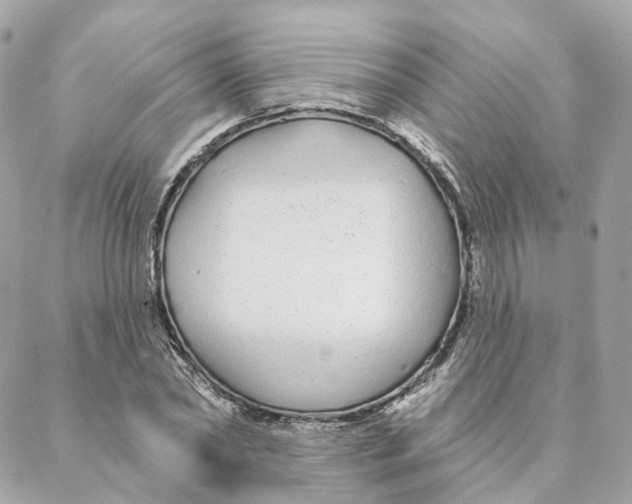 X0000088020782200706011323