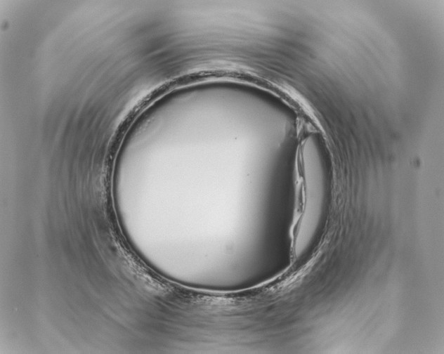 X0000088020783200706011323