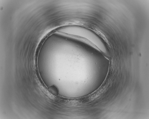 X0000088020784200706011323