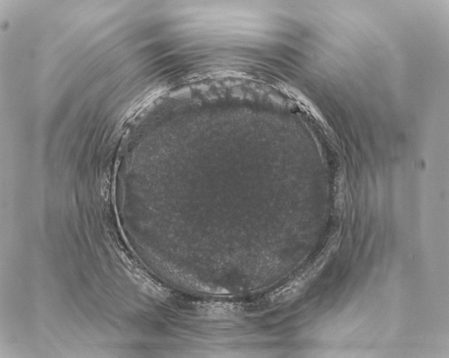 X0000088020785200706011323