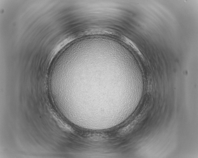 X0000088020786200706011323