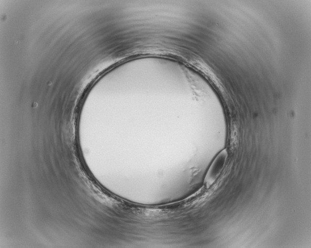 X0000088020787200706011323