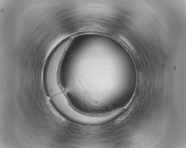 X0000088020788200706011323