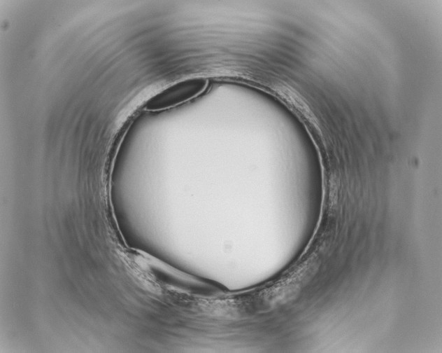 X0000088020789200706011323