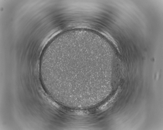 X0000088020790200706011323