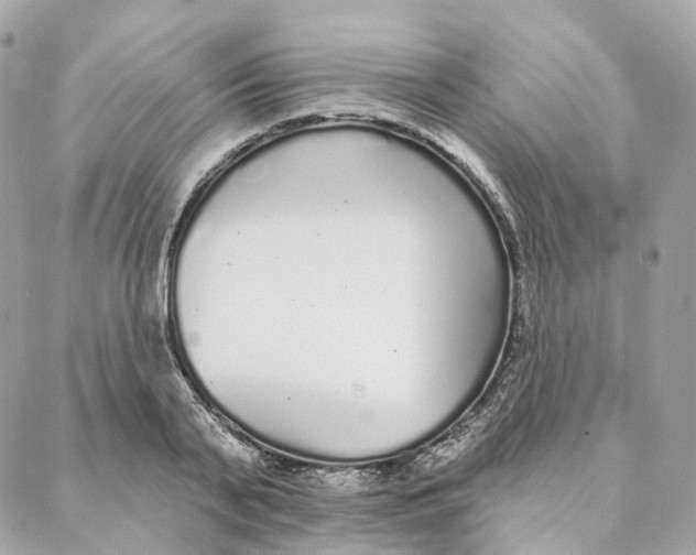 X0000088020791200706011323