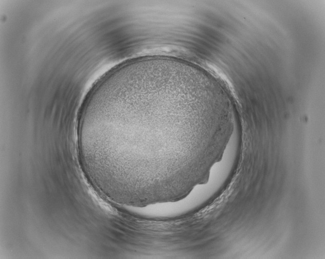 X0000088020792200706011323