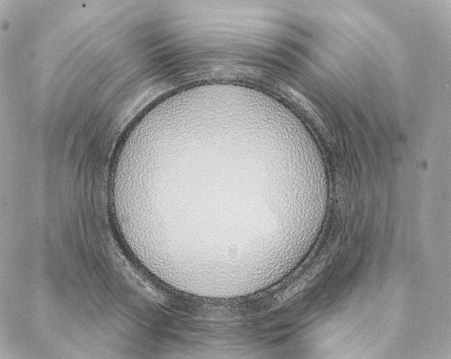 X0000088020794200706011323