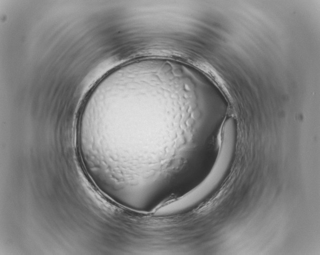 X0000088020795200706011323