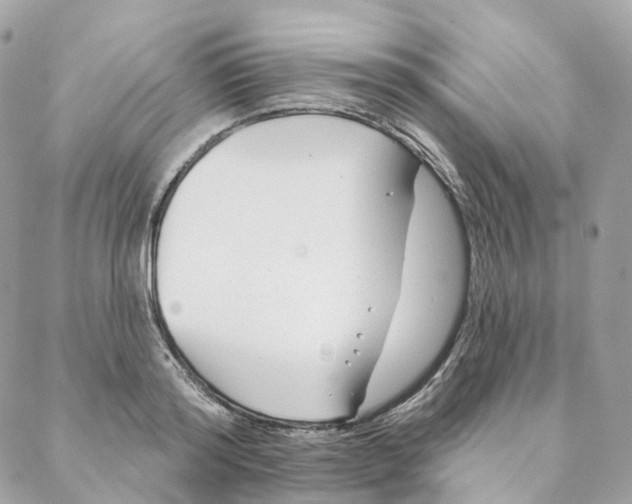 X0000088020796200706011323