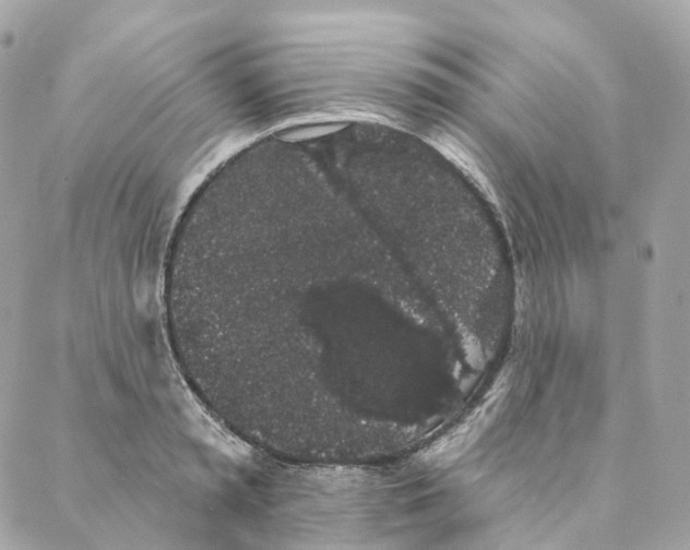 X0000088020797200706011323