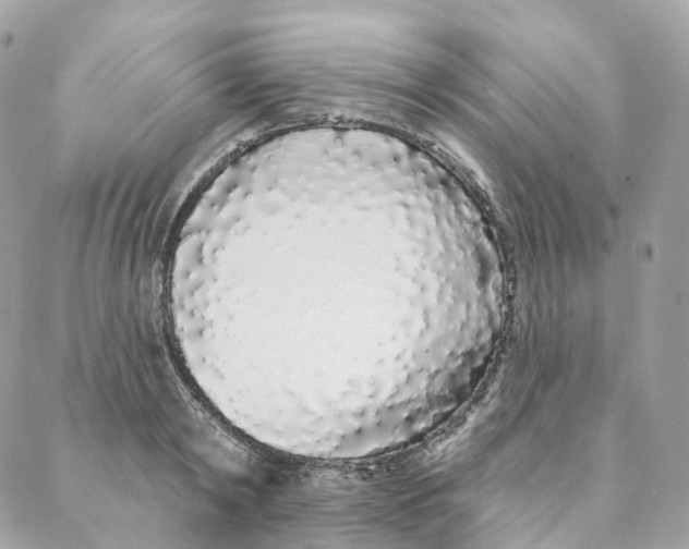 X0000088020798200706011323