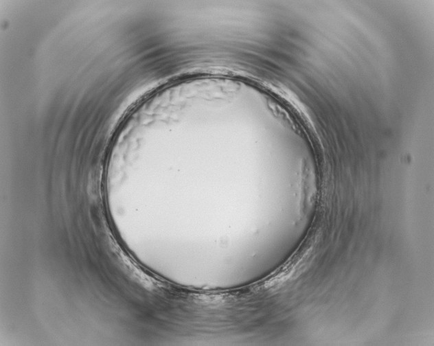 X0000088020799200706011323