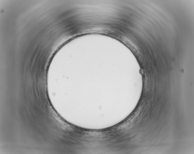 X0000088020800200706011323