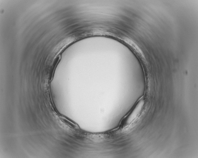 X0000088020801200706011323