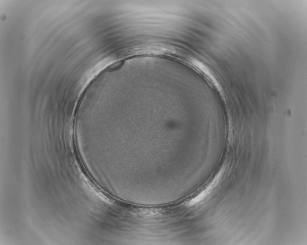 X0000088020802200706011323