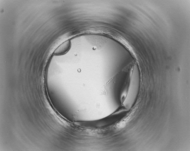 X0000088020803200706011323