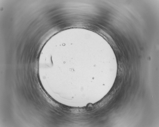 X0000088020804200706011323