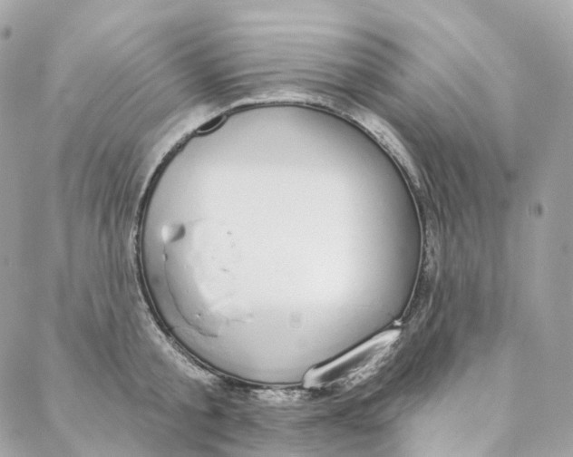 X0000088020805200706011323