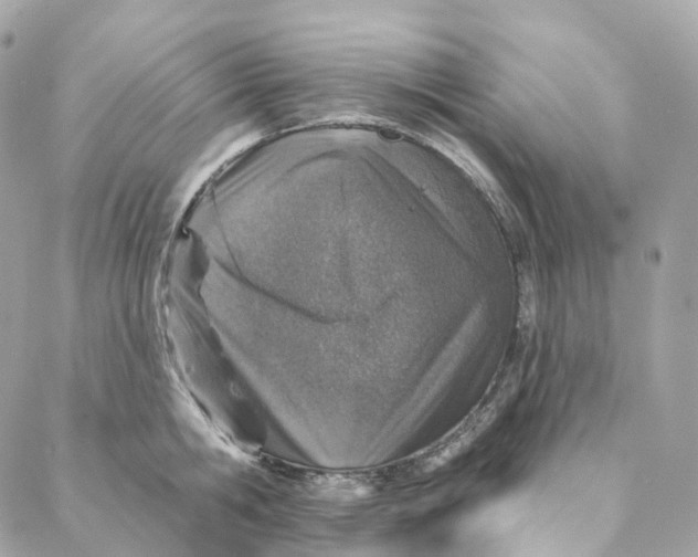 X0000088020806200706011323