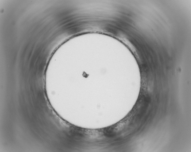 X0000088020807200706011323