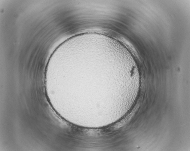 X0000088020808200706011323