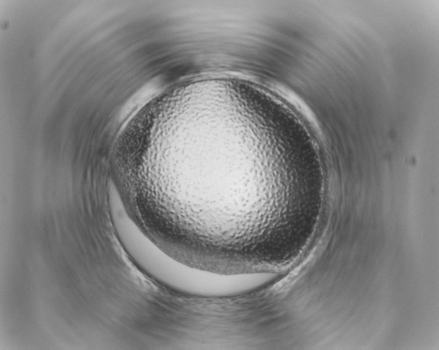 X0000088020809200706011323