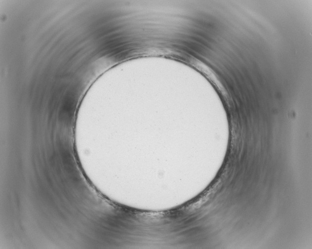 X0000088020810200706011323