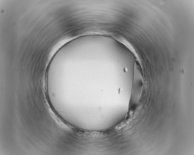 X0000088020811200706011323