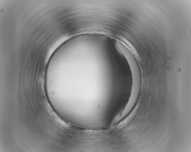 X0000088020812200706011323