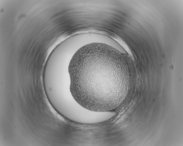 X0000088020813200706011323