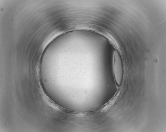 X0000088020814200706011323